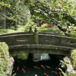 Koi Fische am Sensoji Tempel